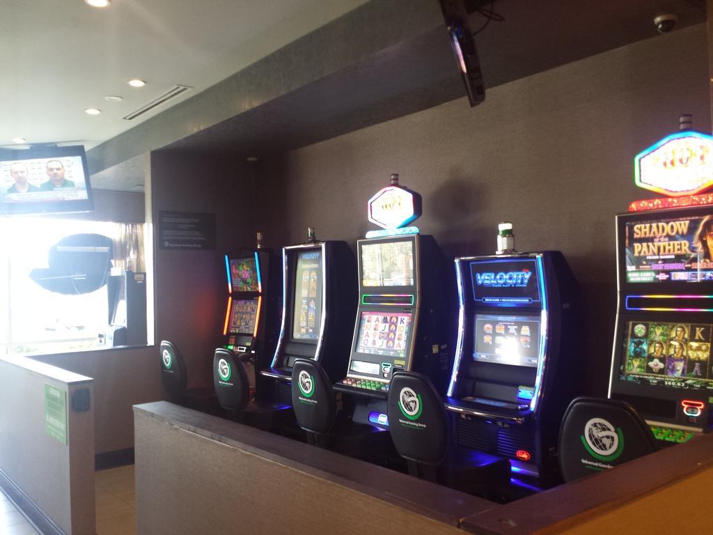 Wyndham Garden Elk Grove Village - O'Hare Eksteriør bilde